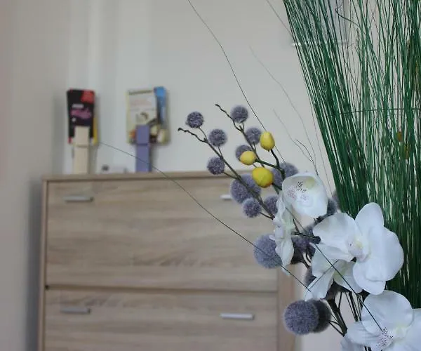 Bei Den Externsteinen * Horn-Bad Meinberg